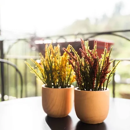 Rihane Alloggio per agriturismo *